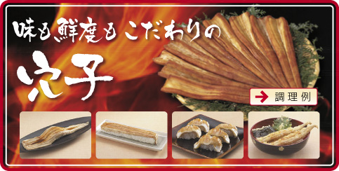 �����N�x���������̌��q